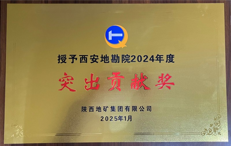 2024年度突出贡献奖_副本.jpg